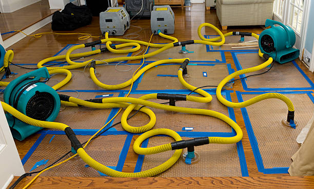 Professional Storm Water Damage Restoration technician working in Florence, MA